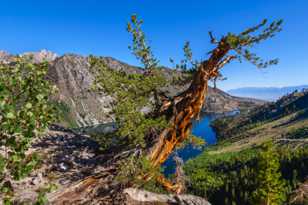 Above Lake Sabrina-7784.jpg